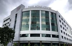 Thye Hong Centre (D3), Factory #623038021